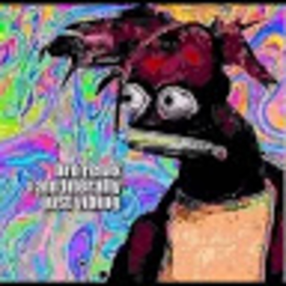 Meet your Posher, Carina